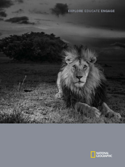 cover: dramatic b/w photo of lion at night