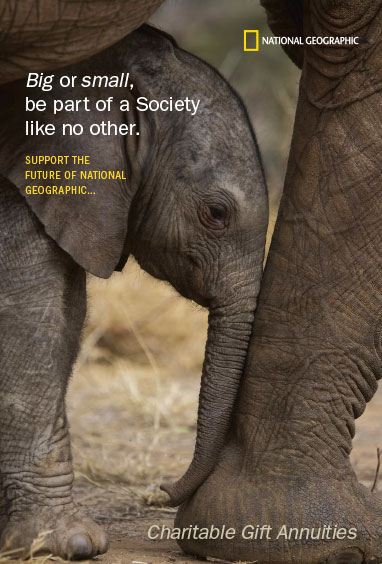 charitable gift annuities
