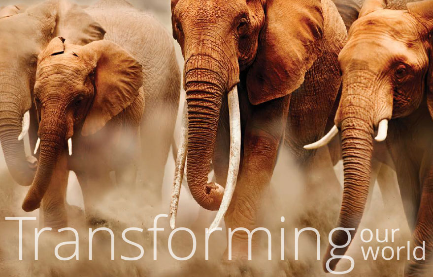 transforming our world
