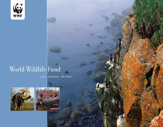 2005 annual report